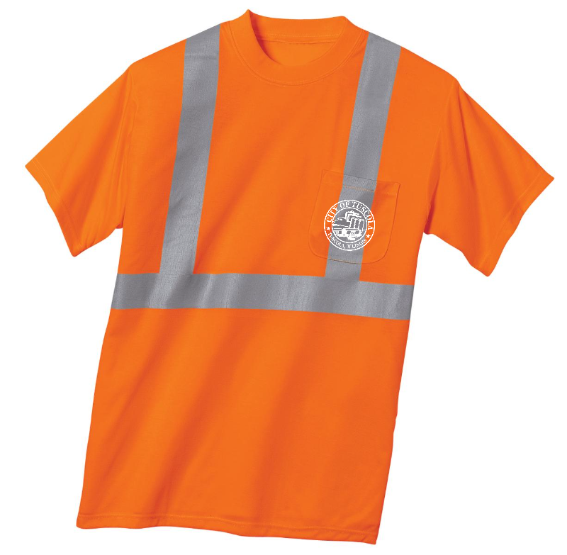 Tuscola Public Works ANSI 107 Class 2 Safety Tee CS401 - PUBLIC WORKS print