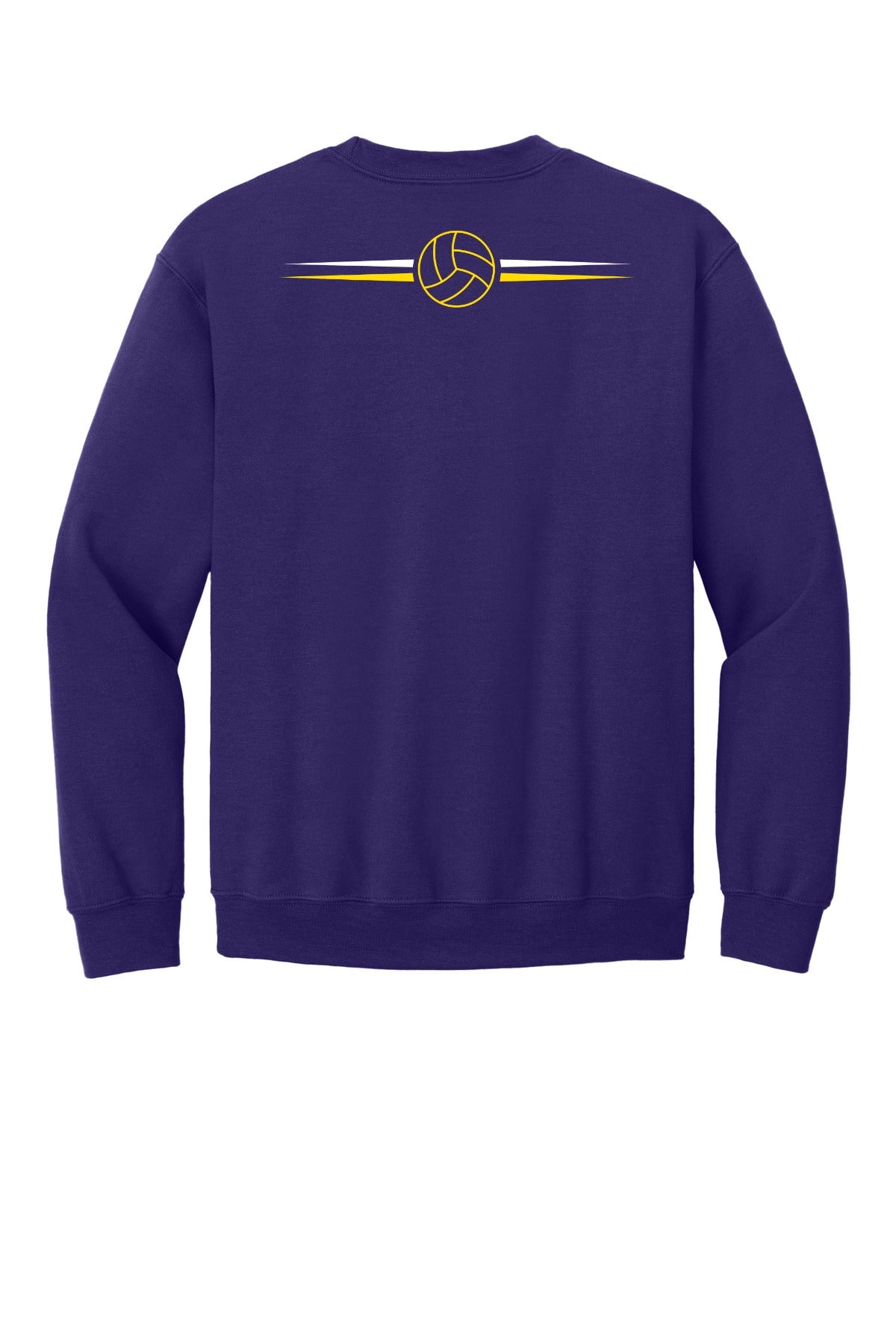 Eisenhower Volleyball 18000 Purple back