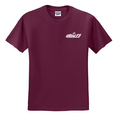 Illini FS - Horizontal - Jerzees - Dri-Power 50/50 Cotton Poly T-shirt - 29M