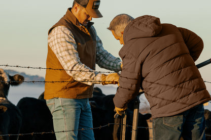 Carhartt - Montana Insulated Hooded Jacket - CT107082