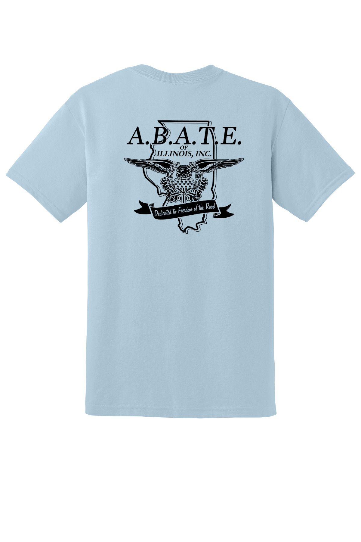 Light Blue Back