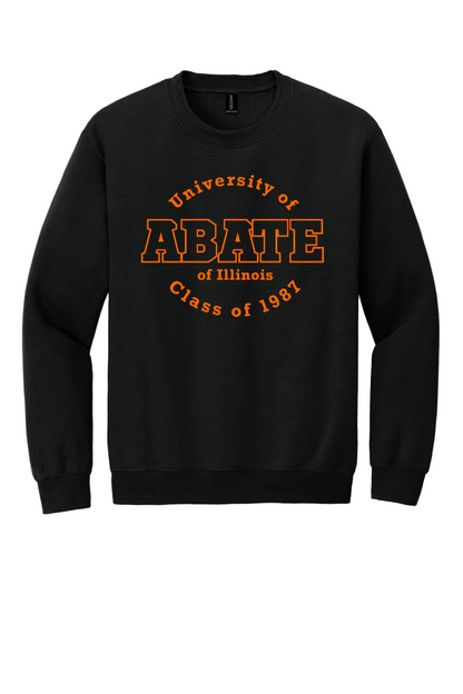 Abate Illinois Class of 1987 - 18000 - Front