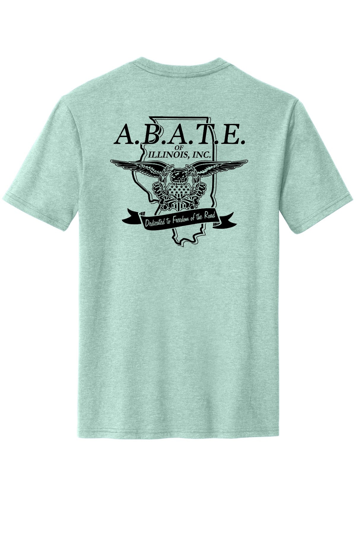 Abate Design 01 District Perfect Blend CVC Tee DM108 Heathered Dusty Sage back