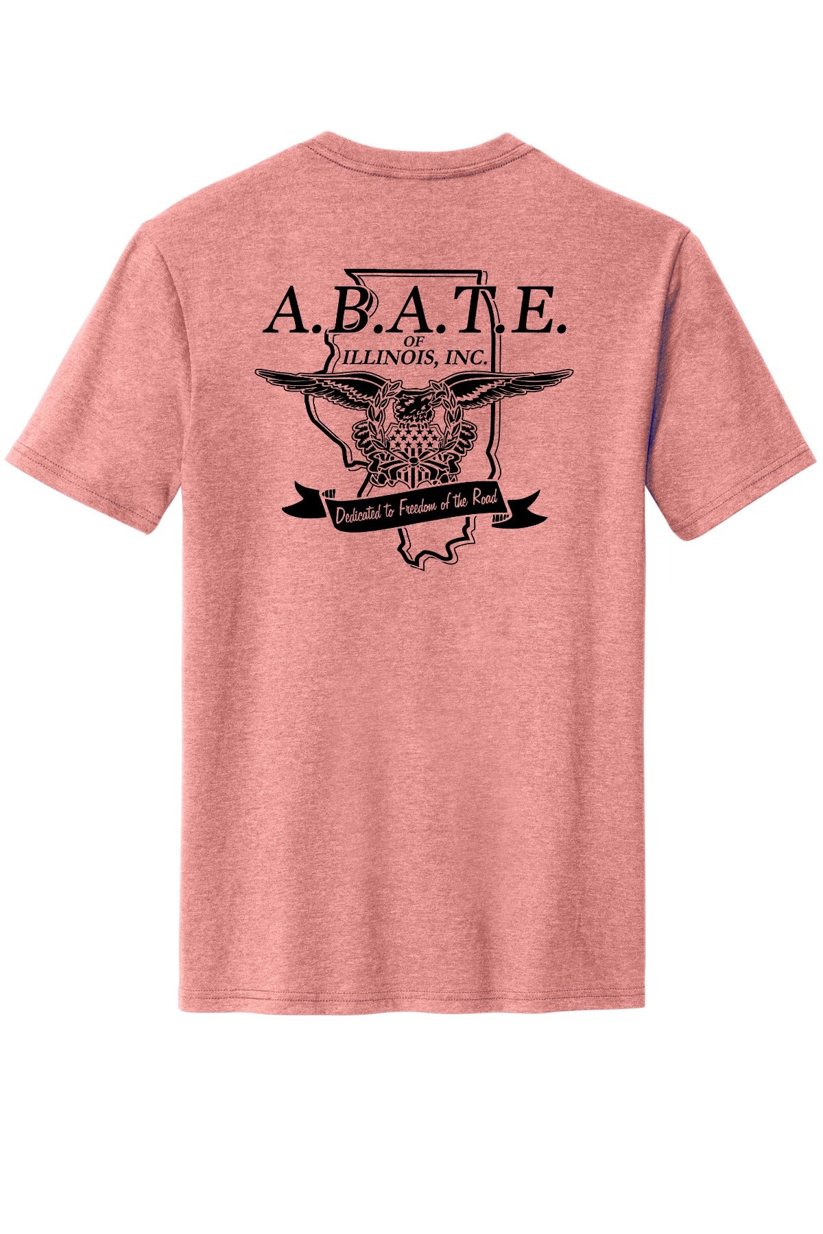Abate Design 01 District Perfect Blend CVC Tee DM108 Blush Frost back