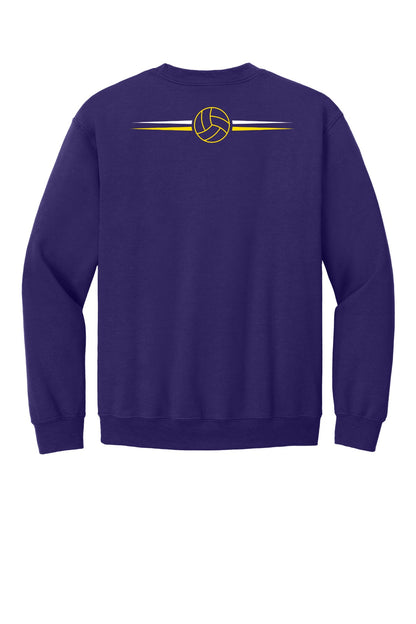 Eisenhower Volleyball 18000 Purple back