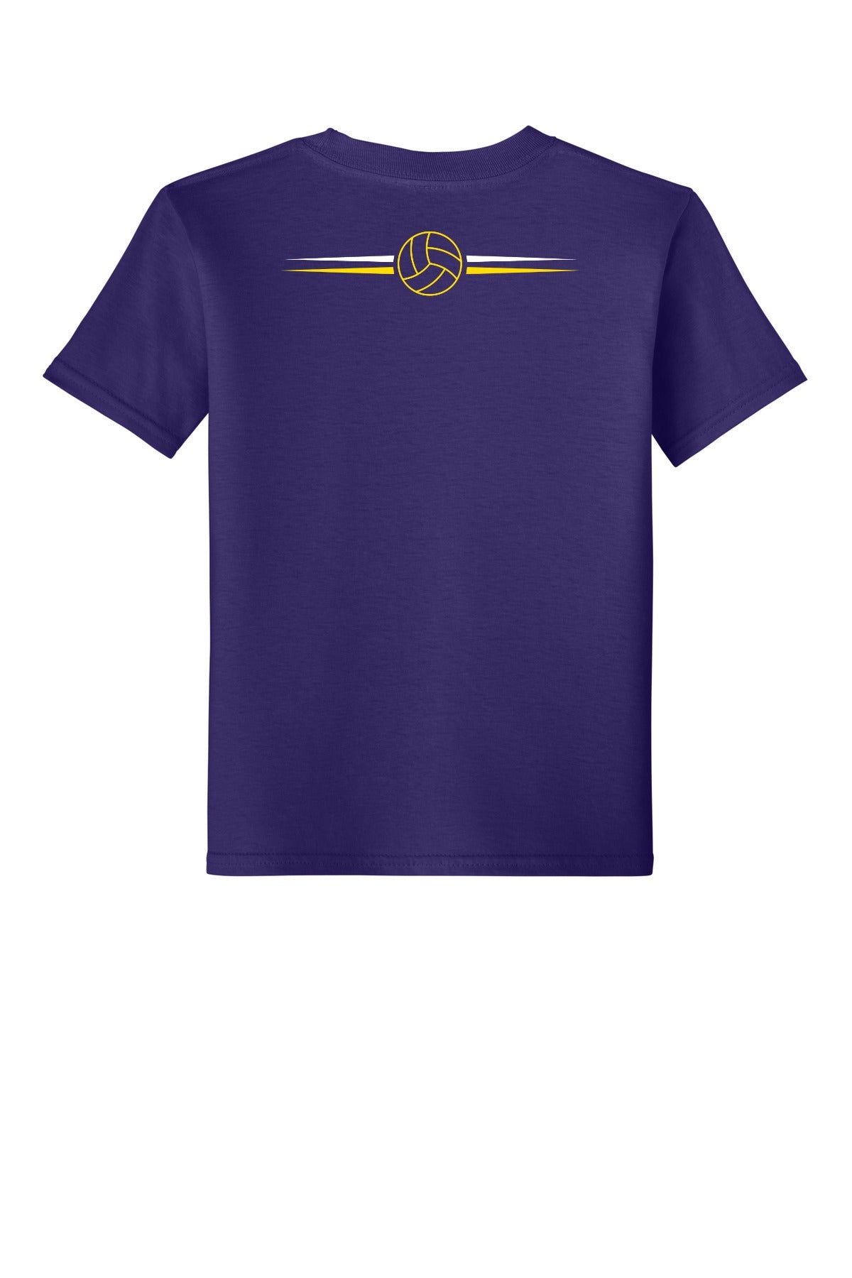 Eisenhower Volleyball 64000B Purple back
